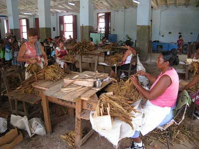 fabrique de cigares &agrave; Pinar del Rio